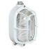 RINO ovlis hajlmpa, vdrccsal, veg bra, porceln foglalat: E27, max: 100W, IP66